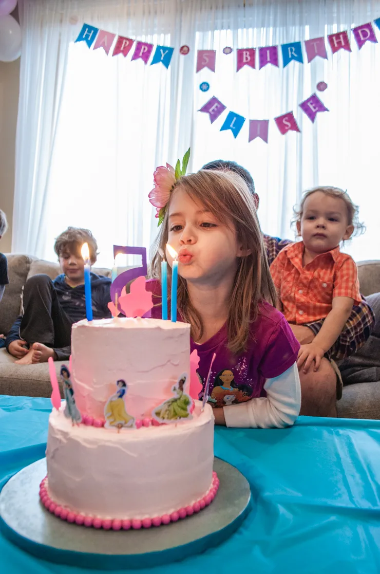 Princess Birthday Cake – With Sprinkles on Top